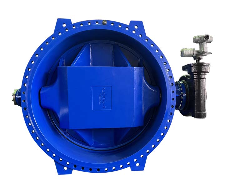 Double eccentric double flange butterfly valve