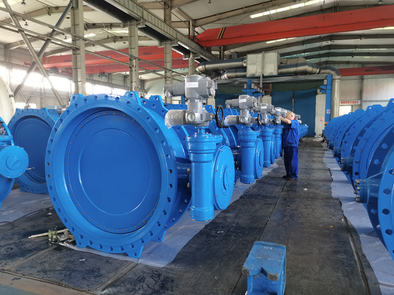 Double eccentric double flange butterfly valve